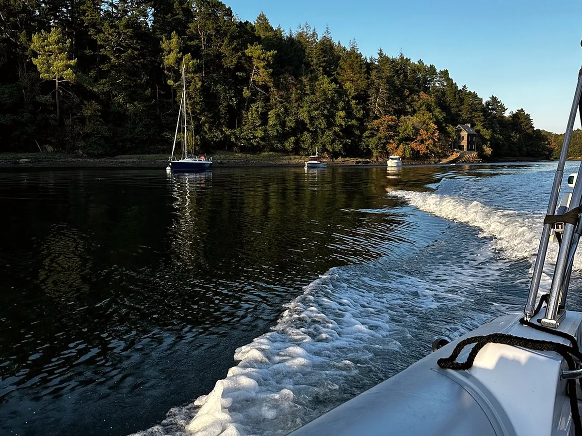 Salida en barco organizada desde Cangas, Galicia